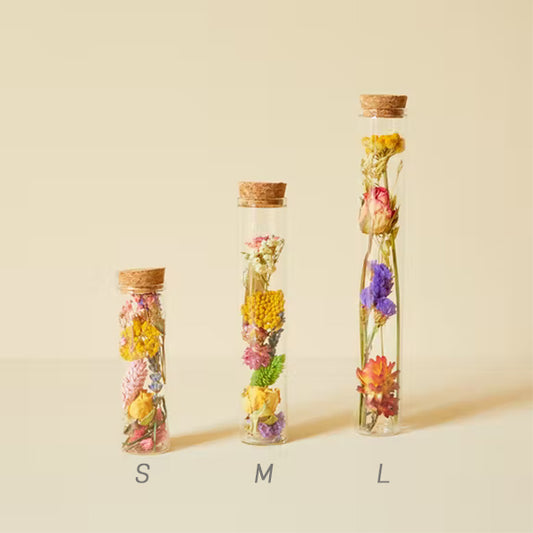 Überwicht der drei verschiedenen Größen von Glasvasen mit Trockenblumen